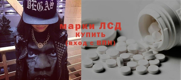 крисы Козельск