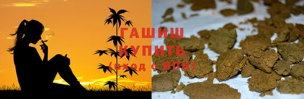 крисы Козельск
