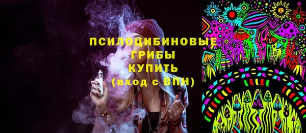 крисы Козельск