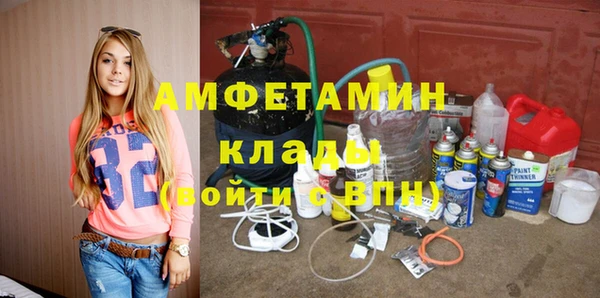 крисы Козельск