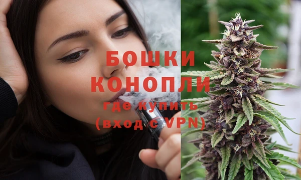 крисы Козельск