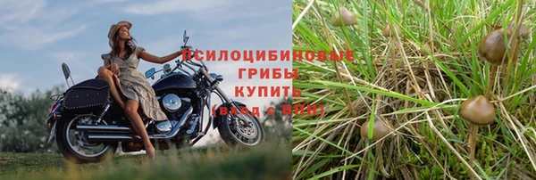 метадон Коряжма