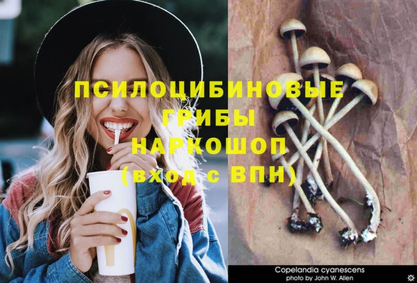 круглые Кодинск