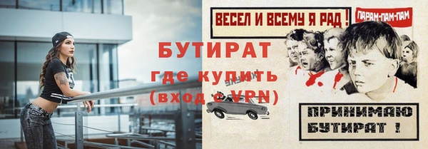крисы Козельск
