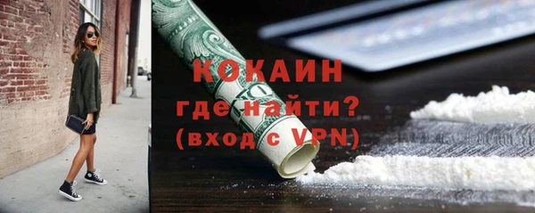 крисы Козельск