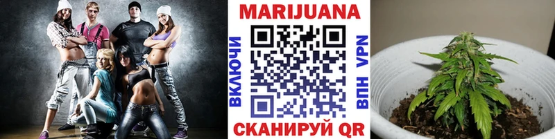 Купить где  Бобров  Конопля семена 